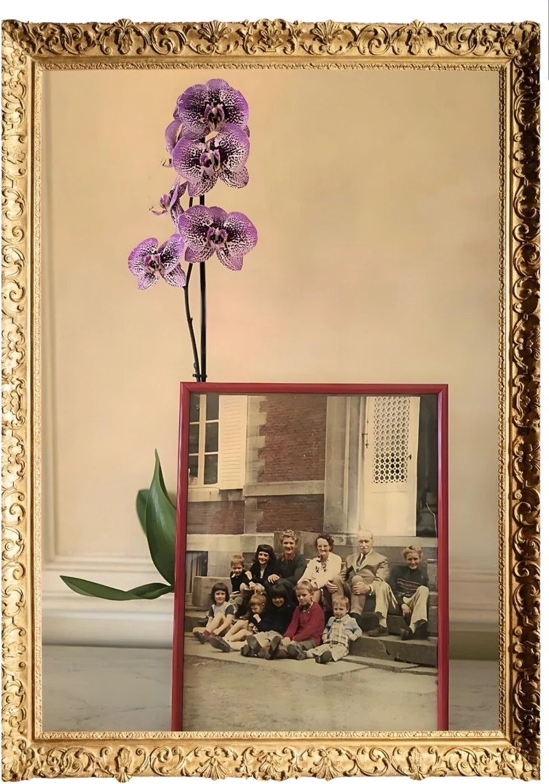Photo de famille devant le château